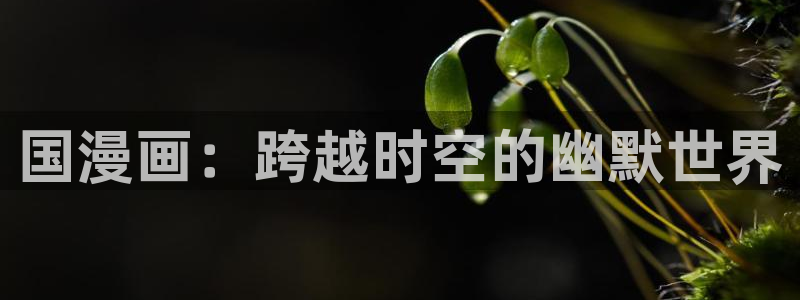 在线歪歪漫画免费观看：国漫画：跨越时空的幽默世界