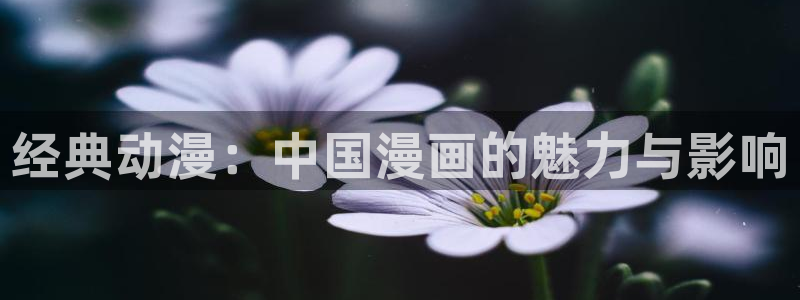 搞歪歪漫画：经典动漫：中国漫画的魅力与影响